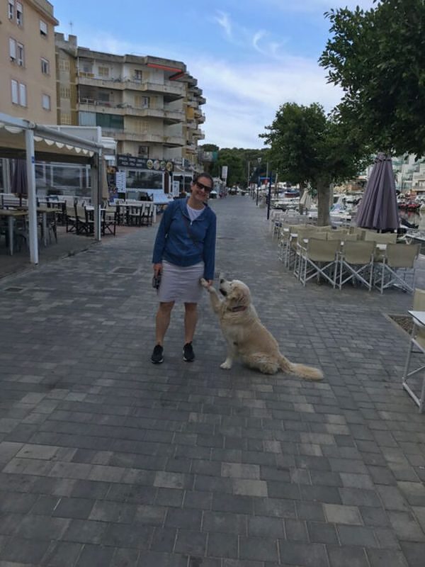 Mallorca mit Hund Vela On Tour, Reisen mit Hund