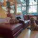 Knallfreier Silvester NH Mit Hund 2 - Silvesterspecial am Flughafen Wien