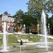 Steiermark, Bad Gleichenberg, Kurhotel Grazerhof, Springbrunnen, gesund mit Hund, Hundeausflüge, Spaß für Besitzer und Hund, Natur, Wald, glückliche Hunde, Vela, Vela on Tour Siegel, hundefreundliche Aufenthaltsorte