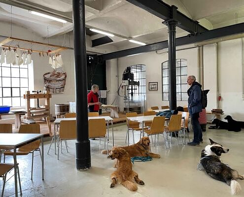 WP Papiermachermuseum 7 - Baden & Wandern mit Hund am Traunsee
