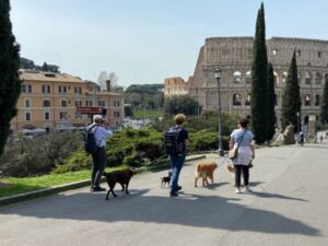 WP Rom mit Hund 1 WP Rom Mit Hund 1