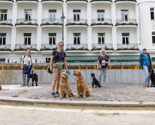 WP Herzoghof Gruppe 1 - Urlaub mit Hund in Baden bei Wien im traditionsreichen Herzoghof