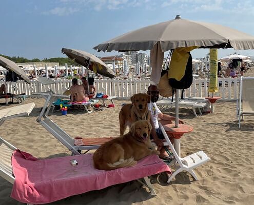 Italien, Caorle, hundefreundliche Strände, Hund am Strand, Sommerurlaub mit Hund, hundefreundlich Reisen, hundefreundliche Hotels, glückliche Hunde, Vela on Tour Qualitätssiegel