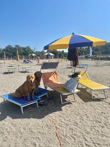 Vela On Tour, Tenuta Primero Grado mit Hund, Radfahrer, Sommerurlaub, Gruppenreisen mit Hund, Wandern mit Hund, Sommer mit Hund, Hundehotels, Urlaub mit Hund, Hundestrand, Doggy Beach