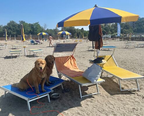 Vela On Tour, Tenuta Primero Grado mit Hund, Radfahrer, Sommerurlaub, Gruppenreisen mit Hund, Wandern mit Hund, Sommer mit Hund, Hundehotels, Urlaub mit Hund, Hundestrand, Doggy Beach