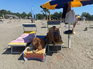 Vela On Tour, Tenuta Primero Grado mit Hund, Radfahrer, Sommerurlaub, Gruppenreisen mit Hund, Wandern mit Hund, Sommer mit Hund, Hundehotels, Urlaub mit Hund, Hundestrand, Doggy Beach