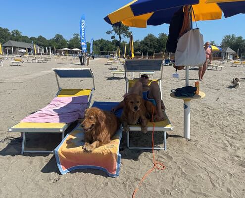 Vela On Tour, Tenuta Primero Grado mit Hund, Radfahrer, Sommerurlaub, Gruppenreisen mit Hund, Wandern mit Hund, Sommer mit Hund, Hundehotels, Urlaub mit Hund, Hundestrand, Doggy Beach