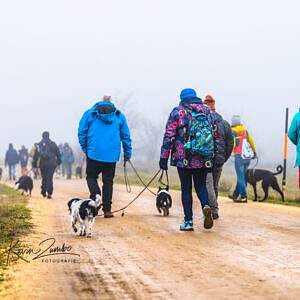 Vela On Tour, Gruppenreisen mit Hund, Wandern mit Hund, Sommer mit Hund, Hundehotels, Urlaub mit Hund, Burgenland, Ochsenbründl, Neusiedl am See Region