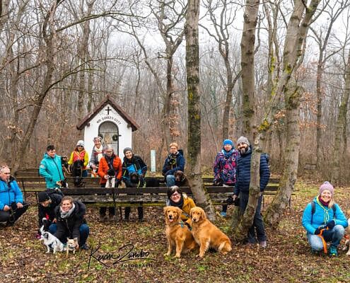 Vela On Tour, Gruppenreisen mit Hund, Wandern mit Hund, Sommer mit Hund, Hundehotels, Urlaub mit Hund, Burgenland, Neusiedl am See Region