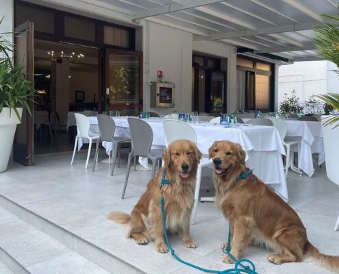 Italien, Caorle, Urlaub mit Hund, Terrasse mit gedeckten Tischen, zwei Hunde Pepa und Penny, Urlaubsfeeling, Sonne, Strand und Meer