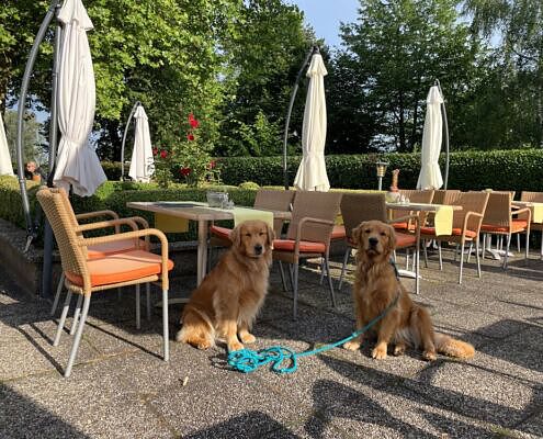 Waldviertel Hotel Restaurant Terrasse mit Hunden hundefreundlich