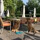 Waldviertel Hotel Restaurant Terrasse mit Hunden hundefreundlich