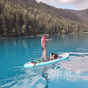 Stand Up Paddle SUP mit Hund, See in Österreich, Sommer, traumhaft