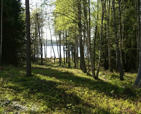 Vela On Tour, Gruppenreisen mit Hund, Wandern mit Hund, Sommer mit Hund, Hundehotels, Urlaub mit Hund, Schweden mit Hund,