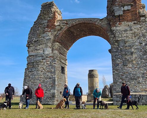Vela On Tour, Gruppenreisen mit Hund, Wandern mit Hund, Sommer mit Hund, Hundehotels, Urlaub mit Hund, Burgenland, Carnuntum mit Hund