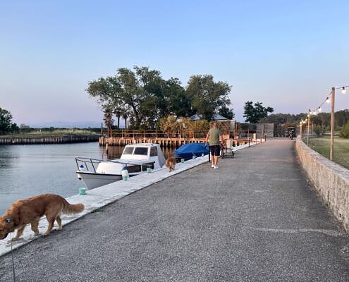 Vela On Tour, Tenuta Primero Grado mit Hund, Radfahrer, Sommerurlaub, Gruppenreisen mit Hund, Wandern mit Hund, Sommer mit Hund, Hundehotels, Urlaub mit Hund