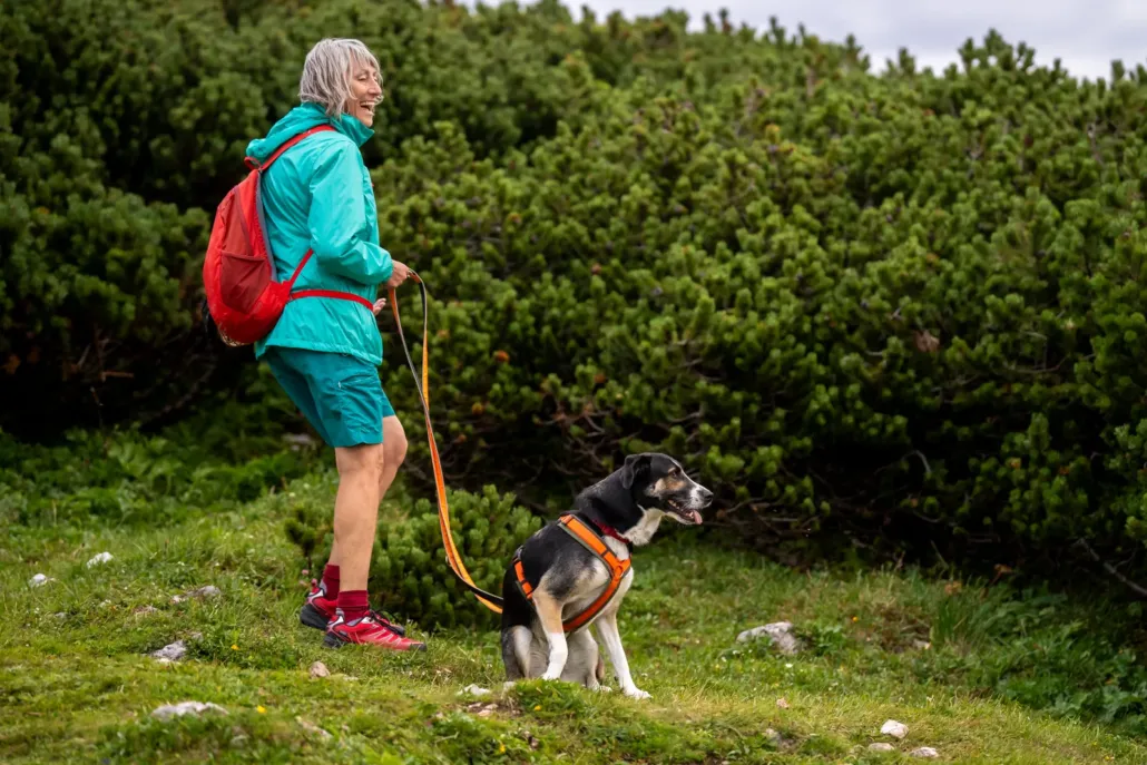 Wandern mit Hund Schneeberg