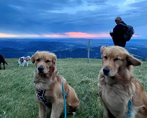 Pepa Und Penny Am Schneeberg Im Wind