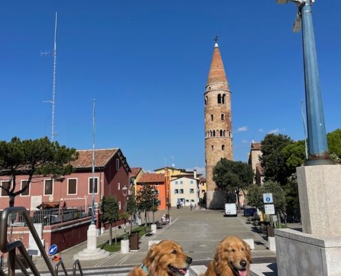 Hunde in Caorle vor der Kirche an der Promenade sitzend