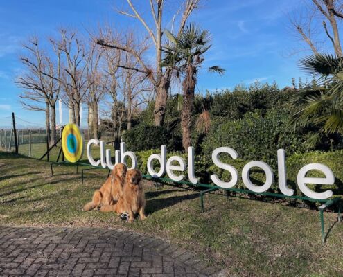 Zwei Retriever Hunde vor dem Entrée und Schriftzug Club del Sole in Grado beim Feriendorf sitzend