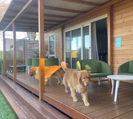 Hunde auf Terrasse Mobilheim Club del Sole Grado mit Sitzgelegenheiten und Tischen