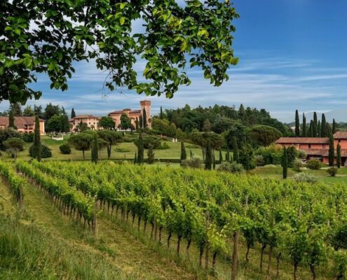 Urlaub mit Hund Friaul Castello di Spessa Das Anwesen