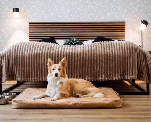 Urlaub mit Hund Apartments Wien Hundebett