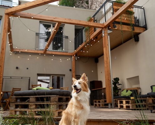 Urlaub mit Hund Apartments Wien Summerfeeling