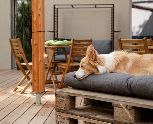 Urlaub mit Hund Apartments Wien dogfriendly