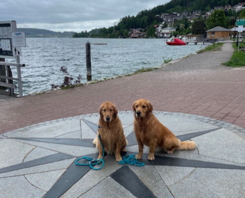 Schnitzers Dahoam_Urlaub mit Hund_Bad Wiessee Himmelsrichtungen