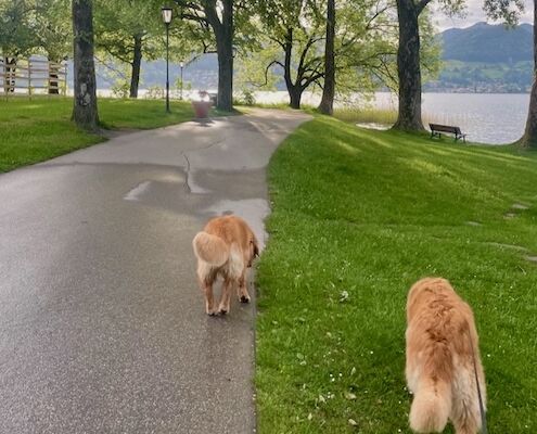 Schnitzers Dahoam_Urlaub mit Hund_Bad Wiessee Morgenrunde (1)
