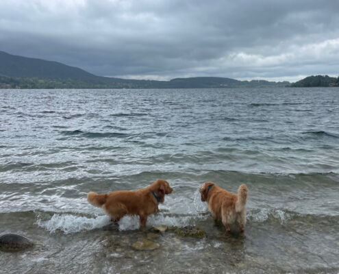 Schnitzers Dahoam_Urlaub mit Hund_Bad Wiessee See