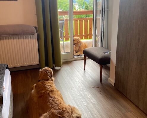 Schnitzers Dahoam_Urlaub mit Hund_Zimmer mit Balkon (1)