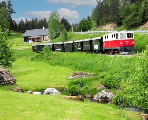 WVB;Sommer;Diesellok;außen;Natur