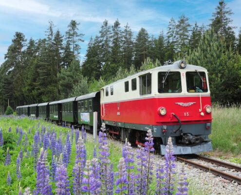 WVB;Sommer;Diesellok;außen;Natur