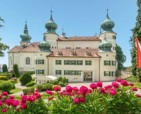 Busreise mit Hund_Waldviertel_Schloss-Aussen-Pfingstrose-Retusche-Himmel-komprimiert.png