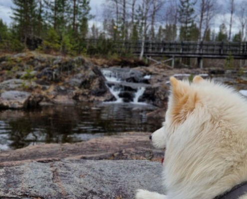 Flussbaden kein Problem