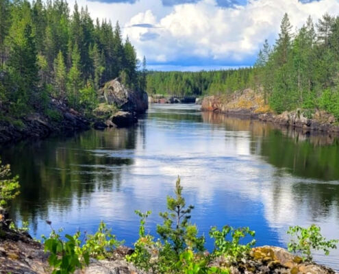 Flüsse und Seen für wasserwütige Hunde