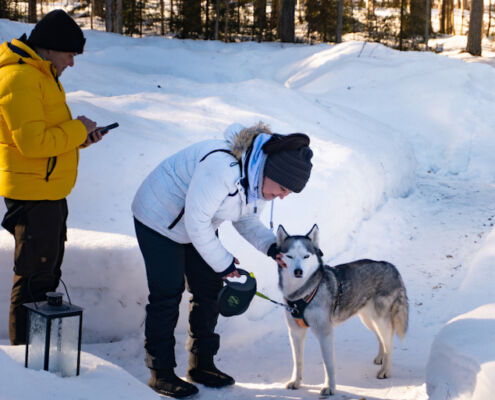 Hunde herzlich willkommen