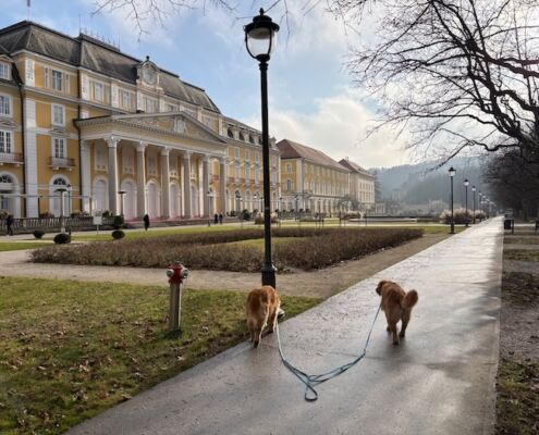 wp_Kurpark_Rogaska Slatina_Urlaub mit Hund in Slowenien
