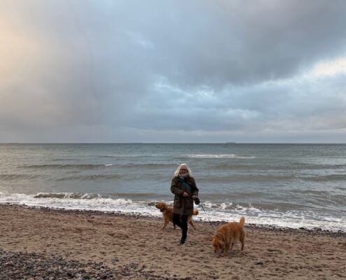 wp_quer_Urlaub mit Hund in Schweden_Pause in Rostock am Strand_Anreise mit Hund