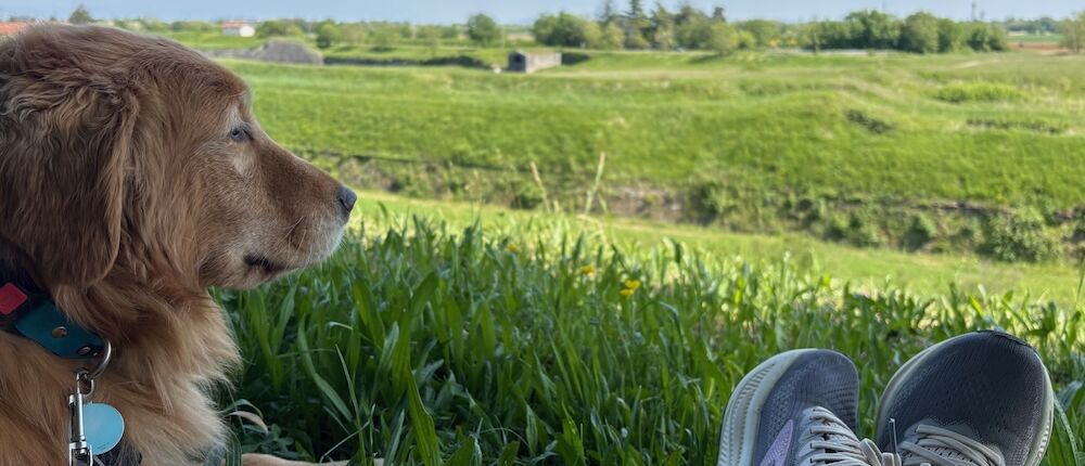 Rund um den Hund-Mantrailen in Italien-Urlaub mit Hund
