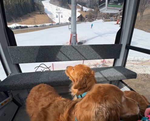 Urlaub mit Hund_Österreich_Kärnten_St. Oswald_Fahrt mit der Seilbahn