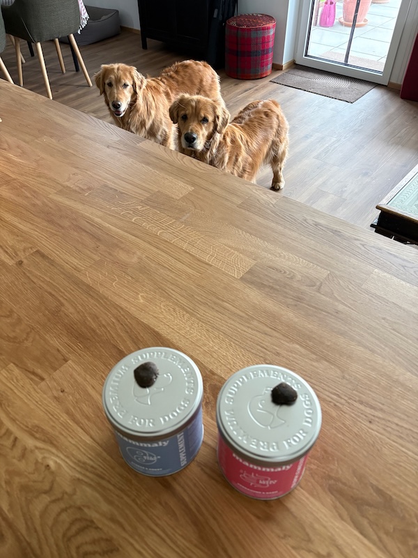 mammaly-hunde-snacks-reisen-test