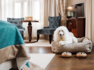 wp_Urlaub mit Hund_Slowenien_Rogaska Slatina_Grand Hotel Sava Hotel Zagreb Hunde willkommen