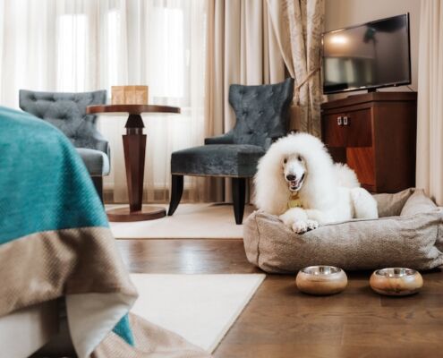wp_Urlaub mit Hund_Slowenien_Rogaska Slatina_Grand Hotel Sava Hotel Zagreb Hunde willkommen