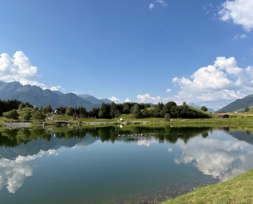 Urlaub mit Hund_Tirol_Hotel Bergfrieden Fiss_Entenfamilie am Wolfsee
