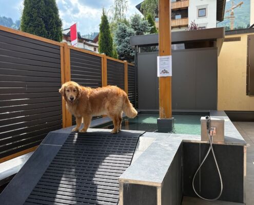 Urlaub mit Hund_Tirol_Hotel Bergfrieden Fiss_Hundepool und Penny