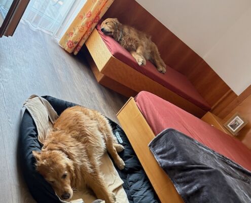 Urlaub mit Hund_Tirol_Hotel Bergfrieden Fiss_Siesta