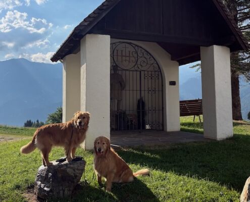 Urlaub mit Hund_Tirol_Hotel Bergfrieden Fiss_Sommerwanderung